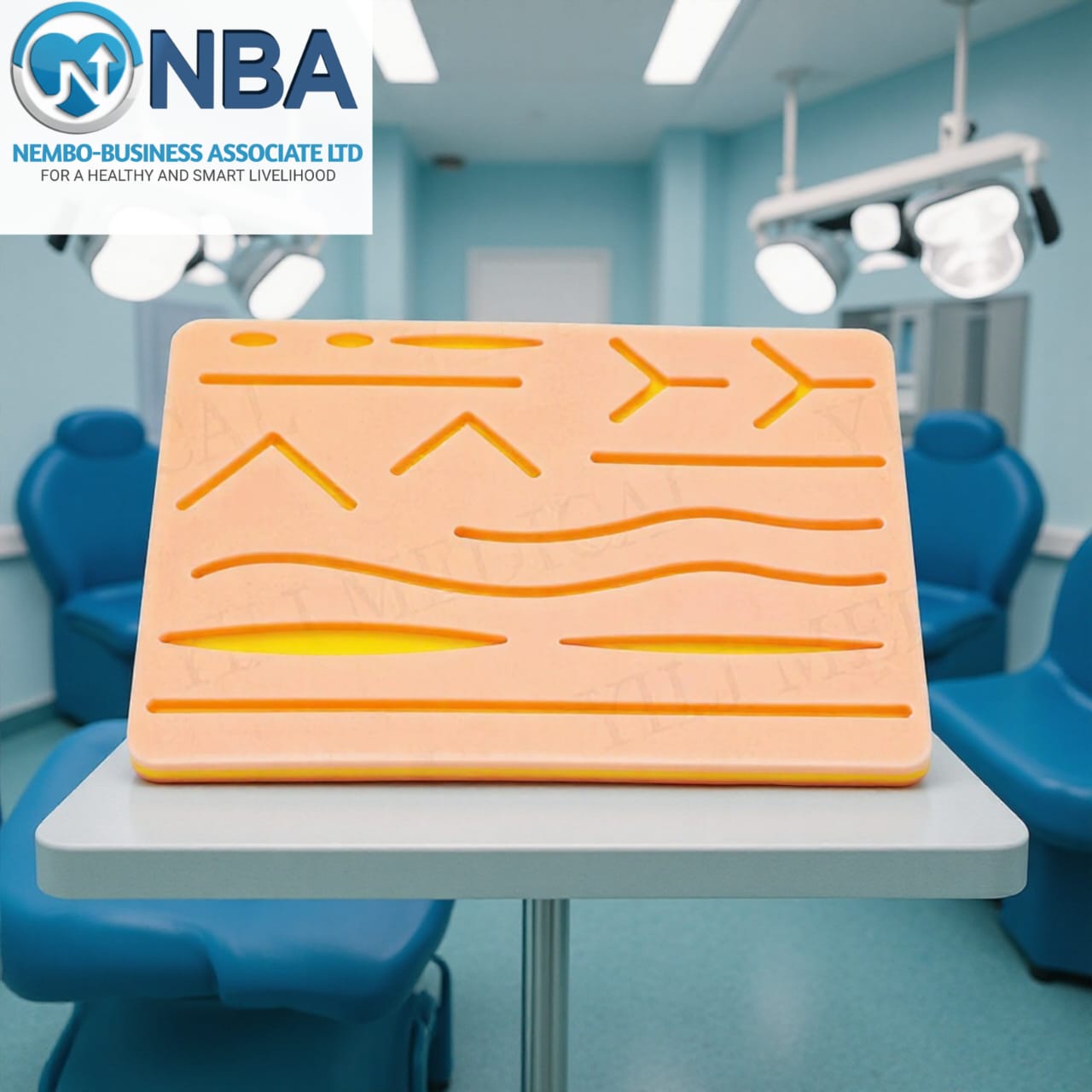 Healthcare support and services
